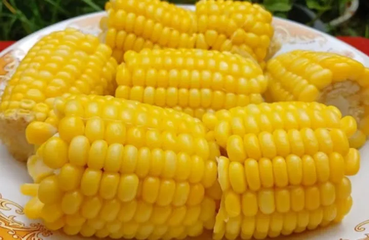 jagung rebus