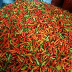 Cabai Rawit Merah