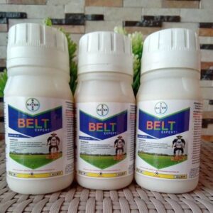 Obat Ulat Grayak