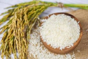 Harga Komoditas Beras